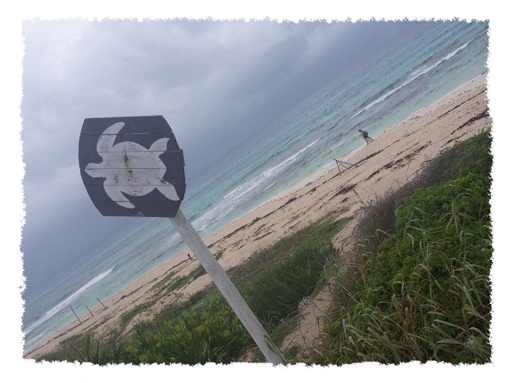 Strand auf Cozumel, Mexiko