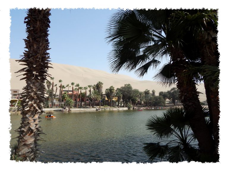 Paracas - Oase Huacachina
