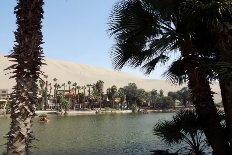 Paracas - Oase Huacachina
