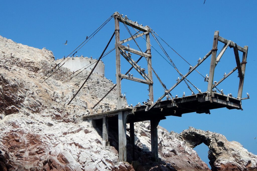 Paracas Vögel auf Islas Ballestas