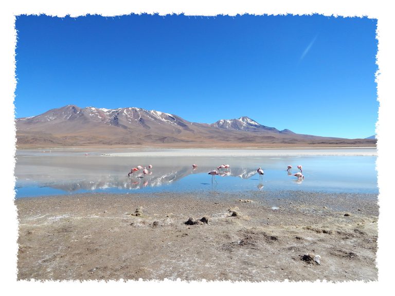 Uyuni - Laguna Hedionda