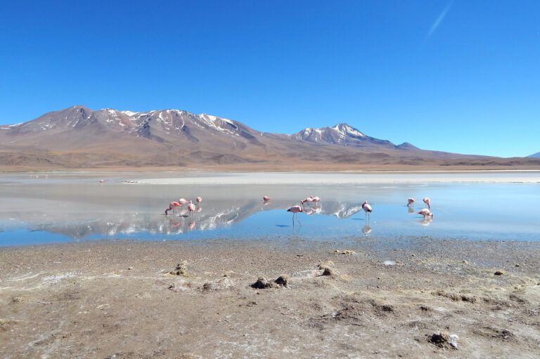 Uyuni - Laguna Hedionda