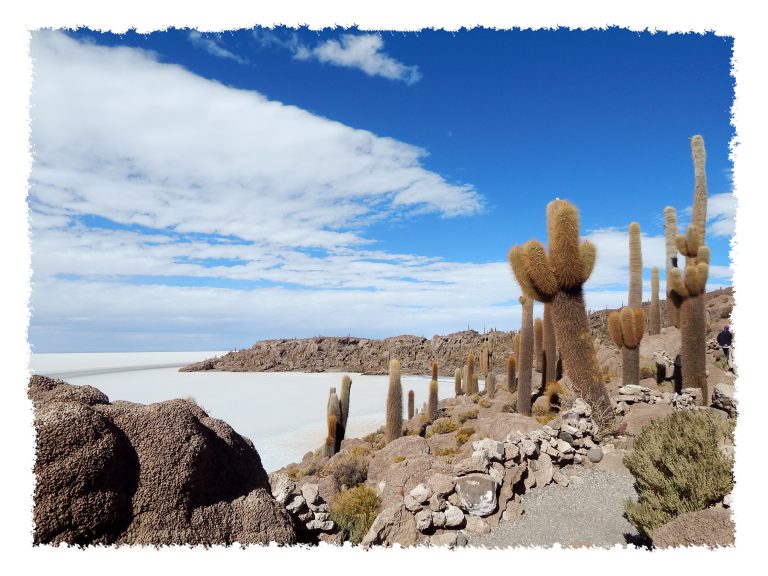 Uyuni - Aussicht von Isla Incahuasi