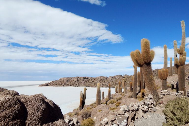 Salar de Uyuni - Aussicht von Isla Incahuasi