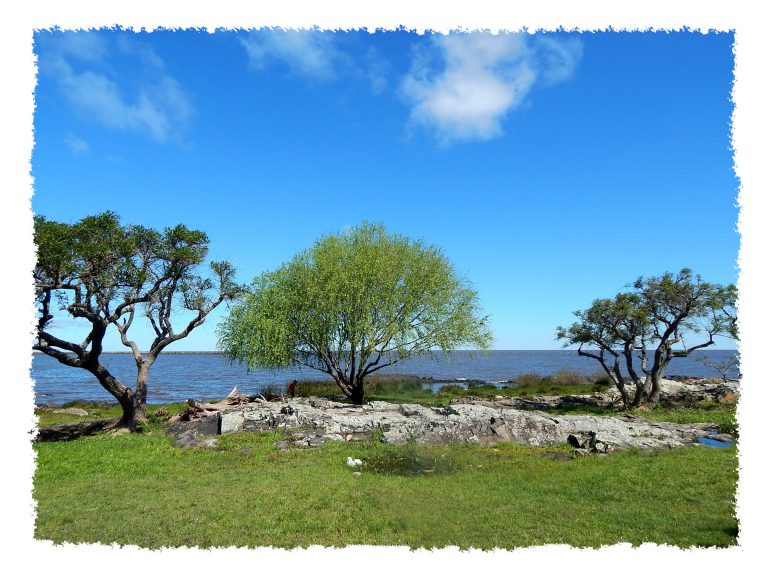 Küste des Rio de la Plata in Colonia de Sacramento