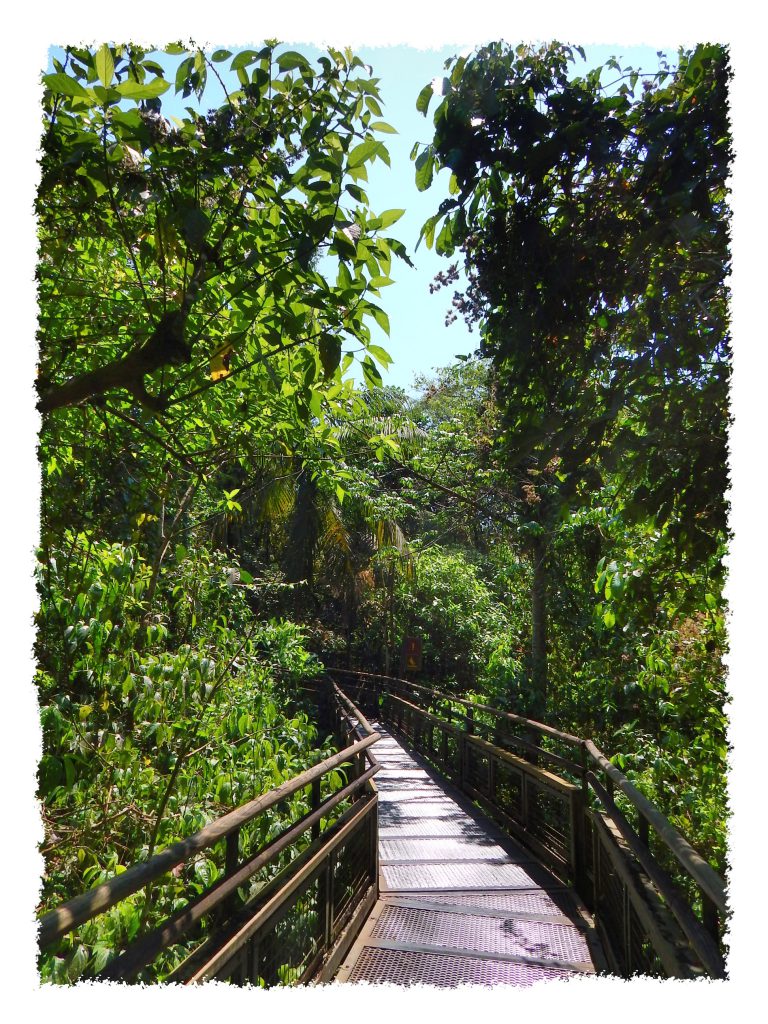 Wege durch den Iguazú Nationalpark