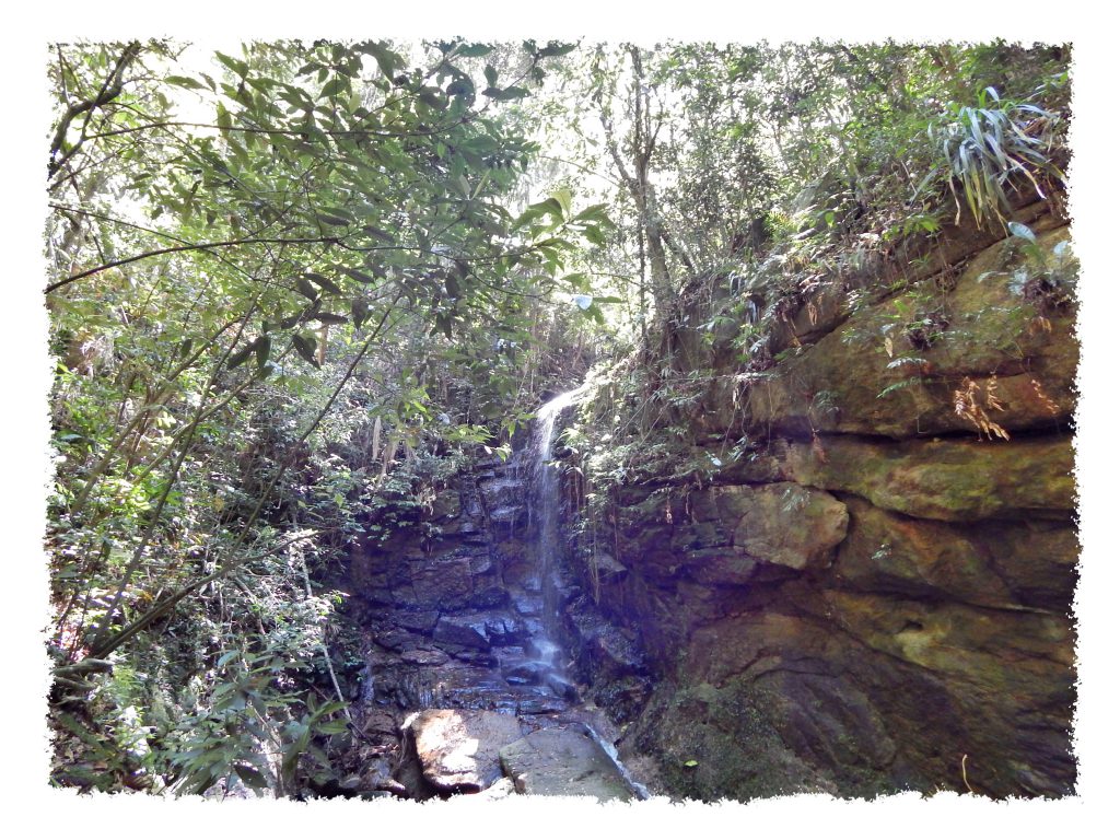 Cachoeira das Almas im Tijuca Nationalpark in Rio de Janeiro
