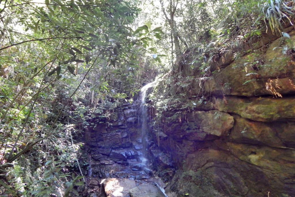 Cachoeira das Almas im Tijuca Nationalpark als Tagesausflüge von Rio de Janeiro
