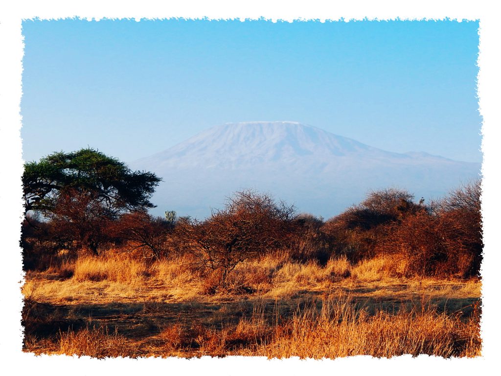 Amboseli Nationalpark - Kili