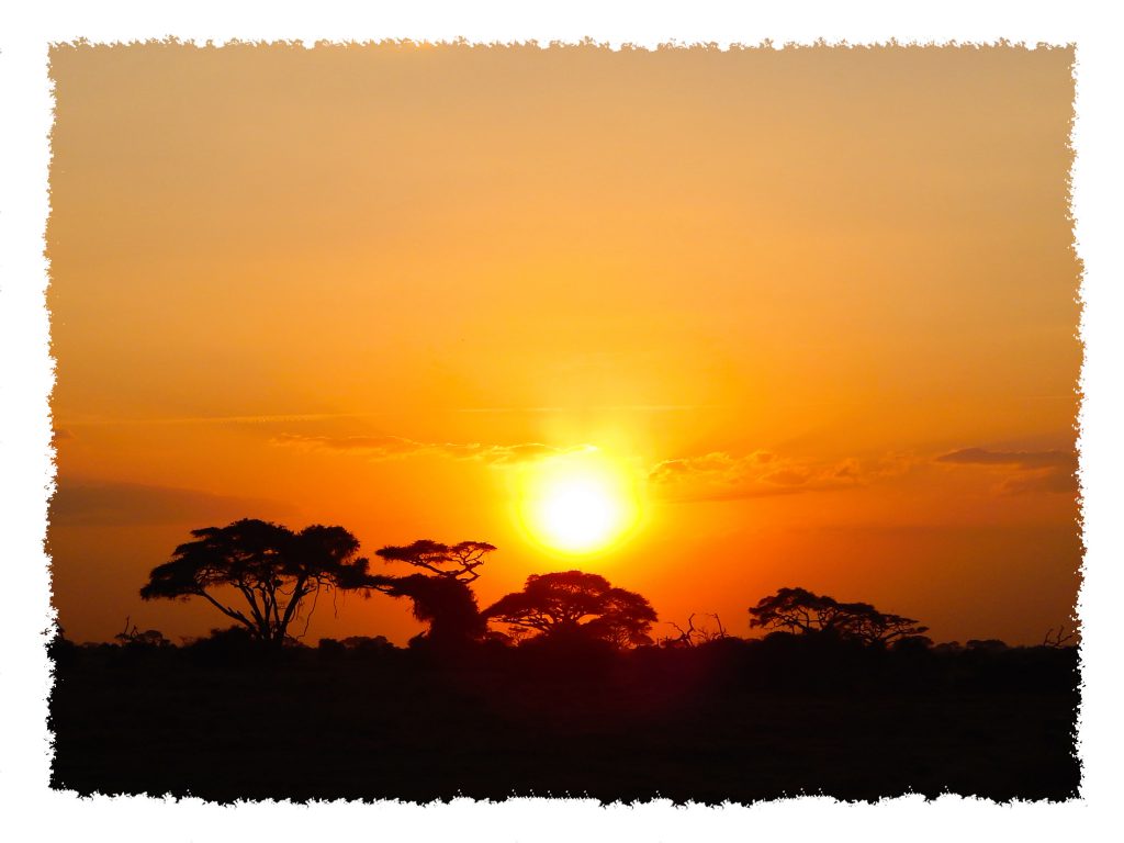 Amboseli Nationalpark - Sonnenuntergang