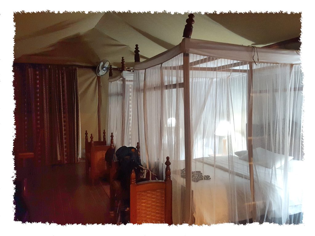 Amboseli Nationalpark - Zelt