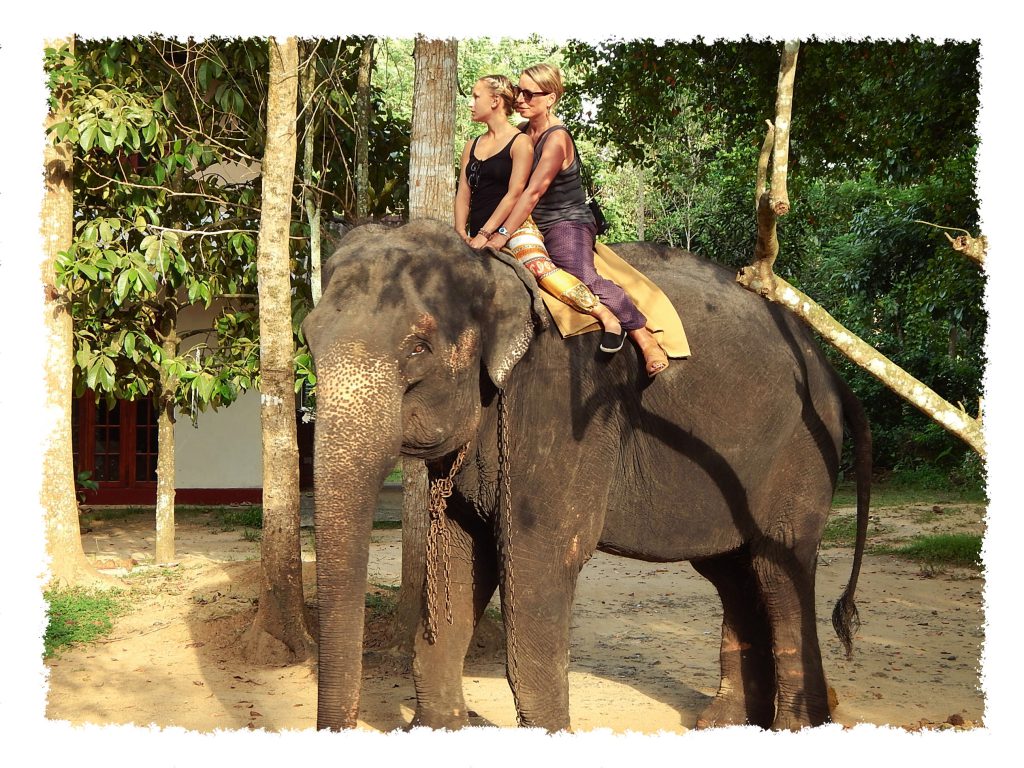 Reisen mit Mama auf Sri Lanka