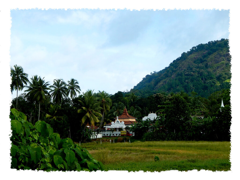 Sri Lanka - Hochland