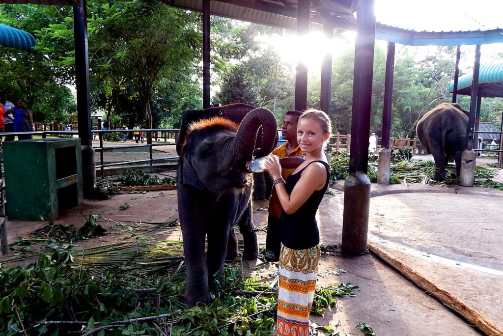 Süden Sri Lanka - Pinnawela