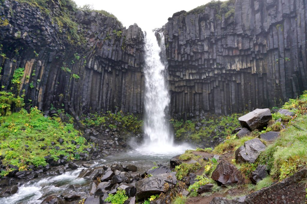 Island Roadtrip - Svartifoss im Skaftafell Nationalpark