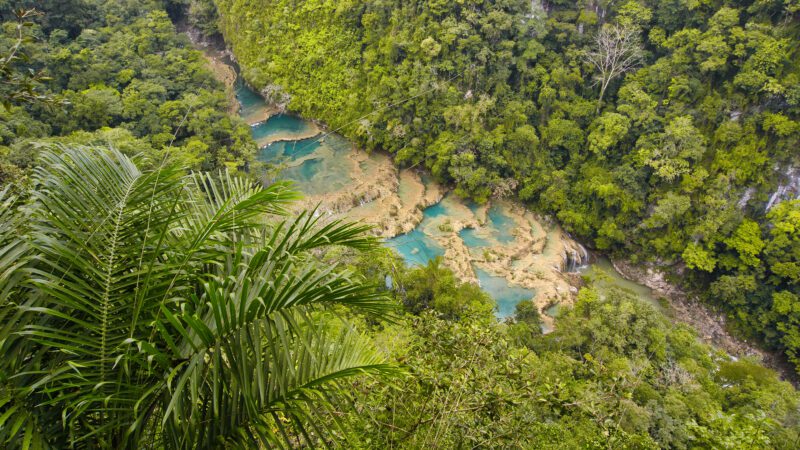 Reise nach Guatemala: Semuc Champey
