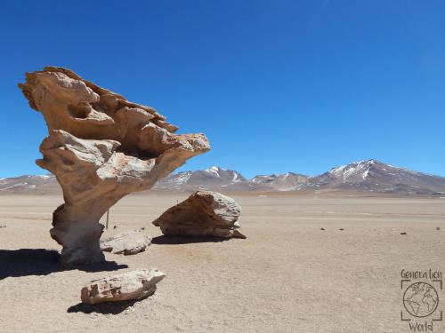 Bolivien - Arbol de Piedra