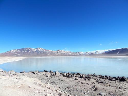 Bolivien - Laguna Blanca